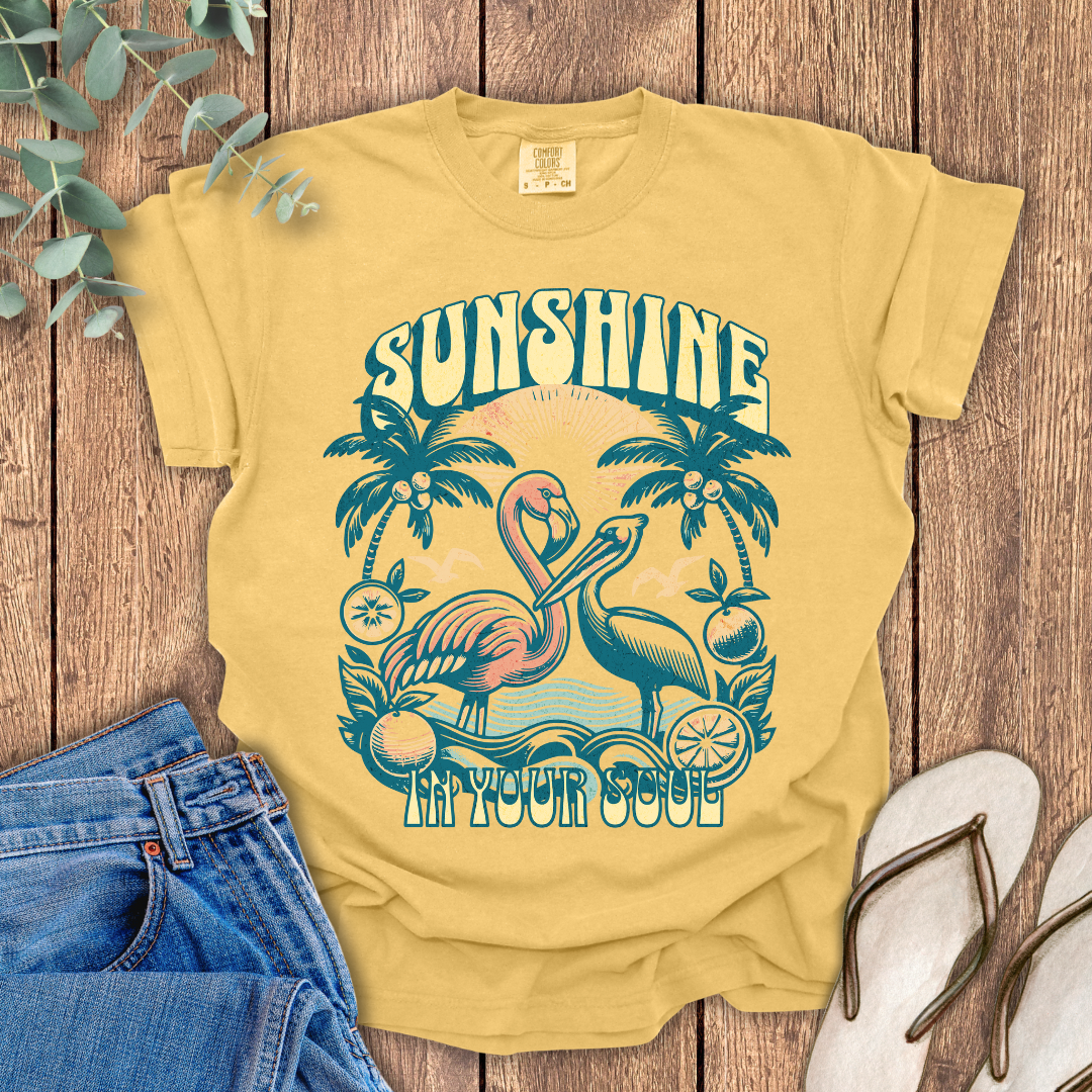 Sunshine In Your Soul T-shirt